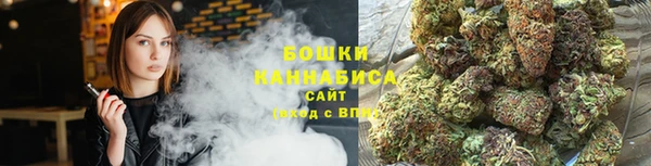 ALPHA PVP Касимов