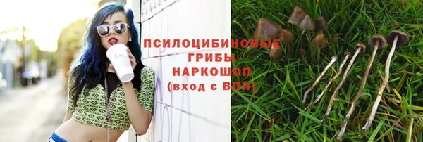 a pvp Каменск-Шахтинский