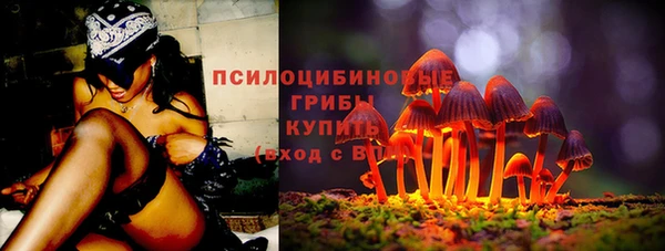 спиды Карпинск